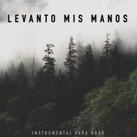 Levanto Mis Manos (Piano) | Boomplay Music
