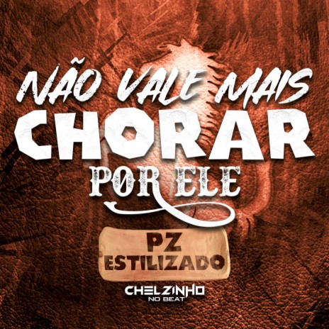 Não Vale Mais Chorar por Ele ft. PZ Estilizado | Boomplay Music