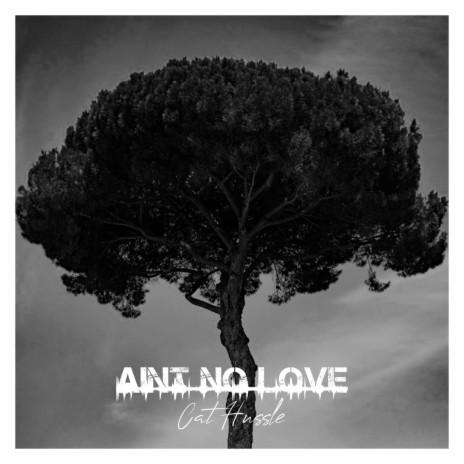 Aint No Love | Boomplay Music