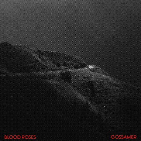 Gossamer | Boomplay Music