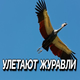 Улетают журавли