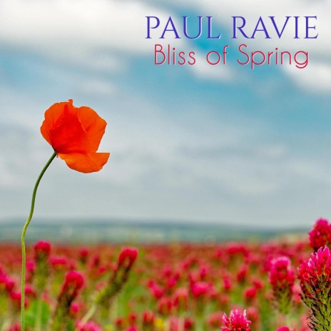 BLISS OF SPRING | Boomplay Music