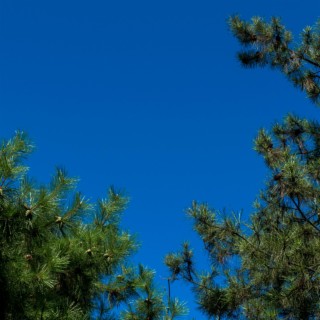 Blue Sky