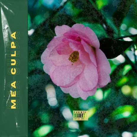 Mea Culpa | Boomplay Music