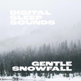 Gentle Snowfall
