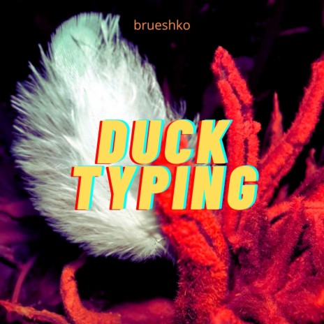 Duck Typing | Boomplay Music