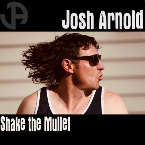 Shake the Mullet | Boomplay Music