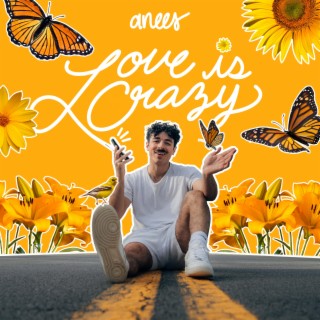 love is crazy lyrics | Boomplay Music