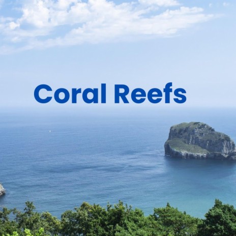 Coral Reefs | Boomplay Music