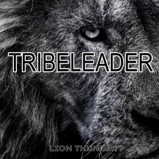 LION THUNDER 7