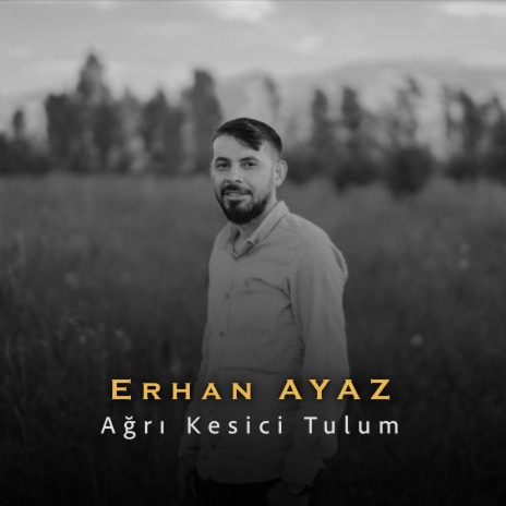 Erhan Ayaz ft. Ağrı Kesici Niyetine Tulum | Boomplay Music