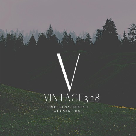 Vintage328 ft. whosantoine | Boomplay Music