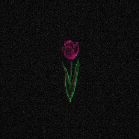 My Tulip | Boomplay Music