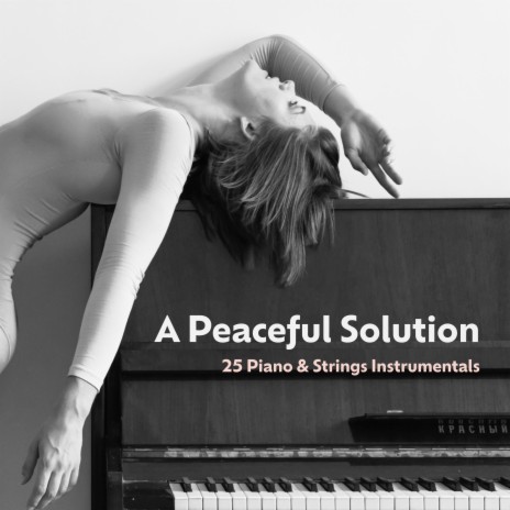 A Peaceful Solution | Boomplay Music