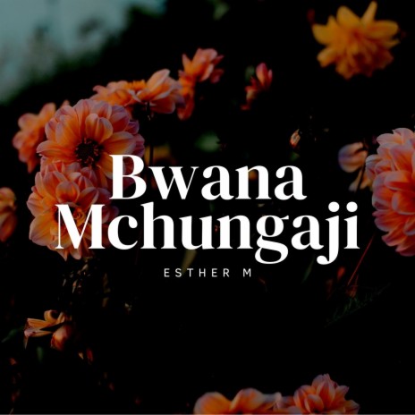 Bwana Mchungaji | Boomplay Music