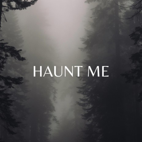 Haunt Me | Boomplay Music