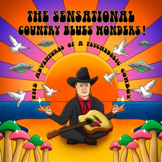 The Sensational Country Blues Wonders!