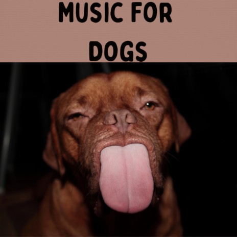 Night Time Music ft. Music For Dogs Peace, Relaxing Puppy Music & Calm Pets Music Academy | Boomplay Music