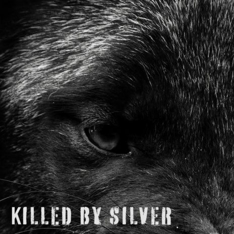 Killed by Silver | Boomplay Music