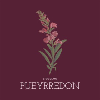 Pueyrredon