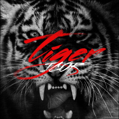 Eyes of the Tiger | Boomplay Music