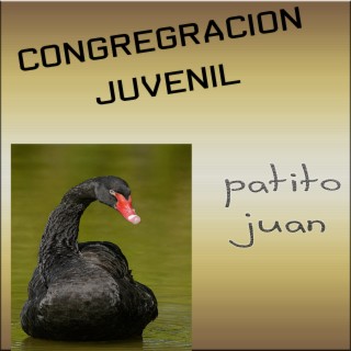 Patito Juan