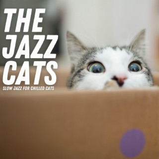 Slow Jazz For Chilled Cats