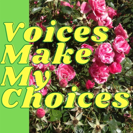 Voices Make My Choices | Boomplay Music