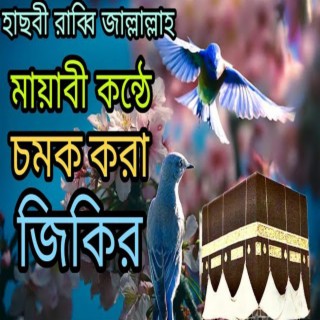 আল্লাহ আল্লাহ _নতুন জিকির ৷বাংলা জিকির ৷new bangla jikir