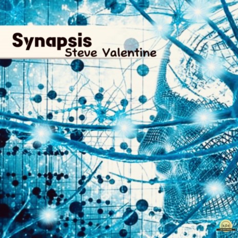 Synapsis