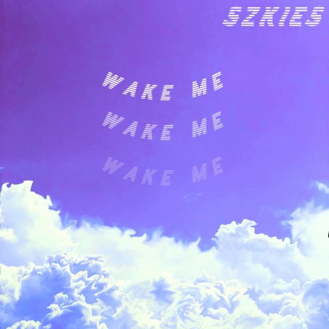 wake me | Boomplay Music