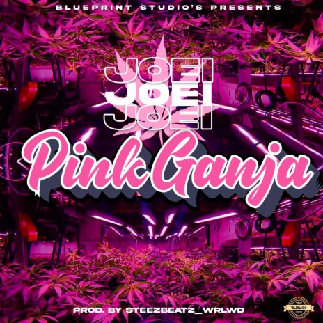 Pink Ganja | Boomplay Music