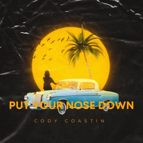 Put Your Nose Down | Boomplay Music