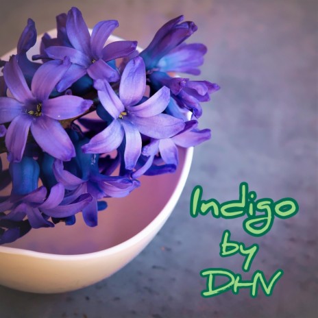 Indigo | Boomplay Music