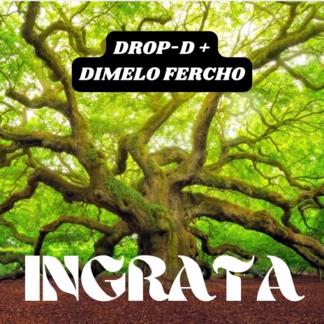 Ingrata | Boomplay Music