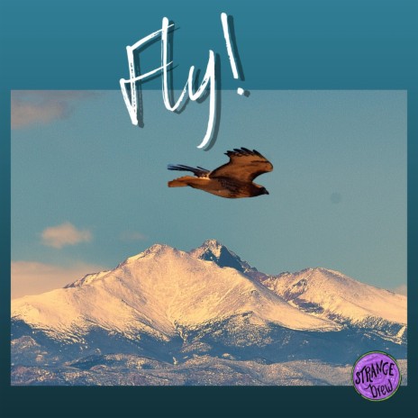 Today/Fly | Boomplay Music