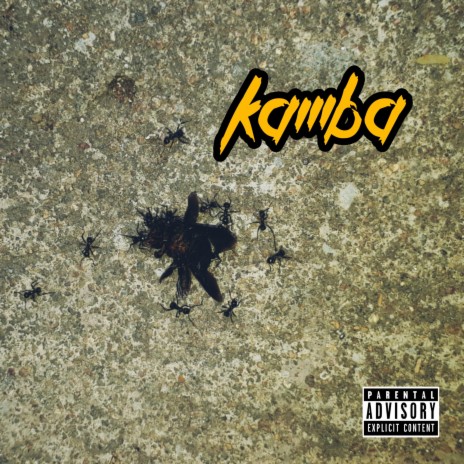 Kamba | Boomplay Music