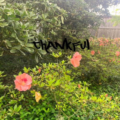 Thankful ft. Luv MMO | Boomplay Music
