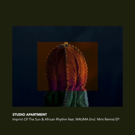 African Rhythm (MINT (JPN) Remix) ft. MAUMA (JPN) | Boomplay Music