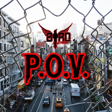 P.O.V | Boomplay Music