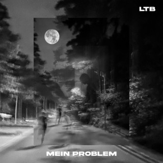 MEIN PROBLEM