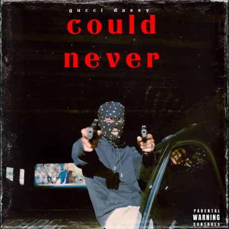 Could Never | Boomplay Music