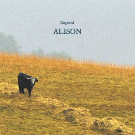 Alison | Boomplay Music