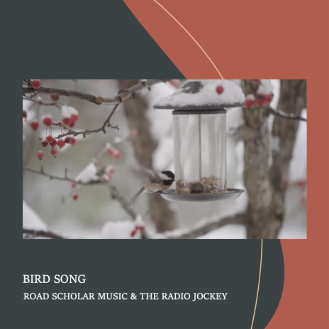 Bird Song ft. The Radio Jockey