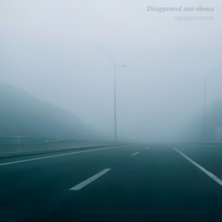 Disappeared into silence