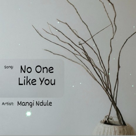 No One Like You | Boomplay Music