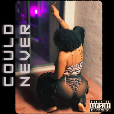 Could Never | Boomplay Music