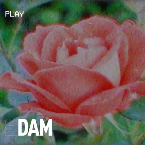 Roses | Boomplay Music