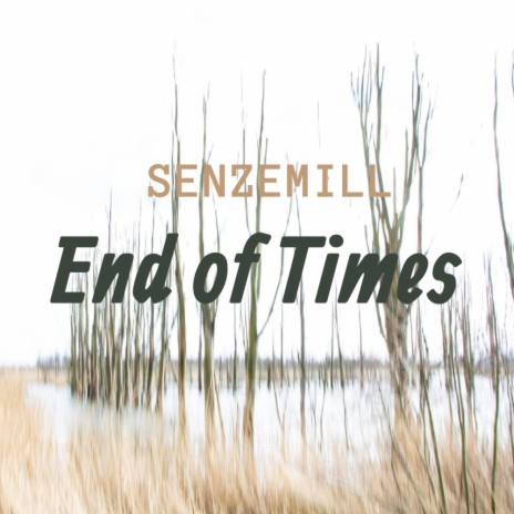 End of times (Original Mix)