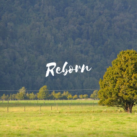 Reborn | Boomplay Music